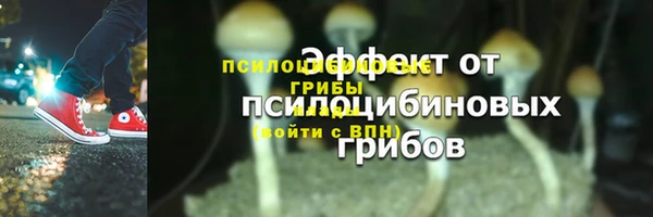трава Заводоуковск