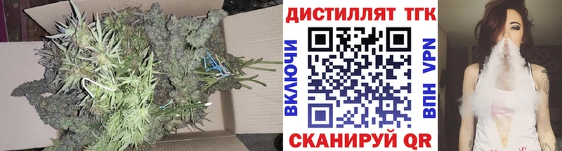 Купить где  Сольвычегодск  ТГК гашишное масло 