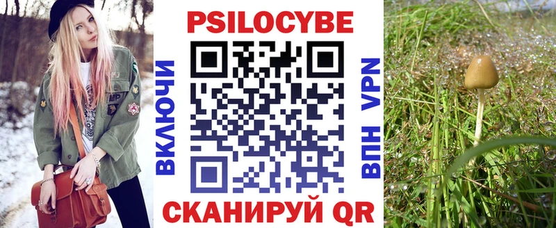 Псилоцибиновые грибы ЛСД Купить закладки Сольвычегодск